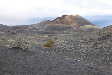 Teneguia Volcano Hiking Tour with Transfers